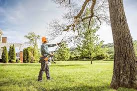 Best Hazardous Tree Removal  in Lawrenceburg, KY
